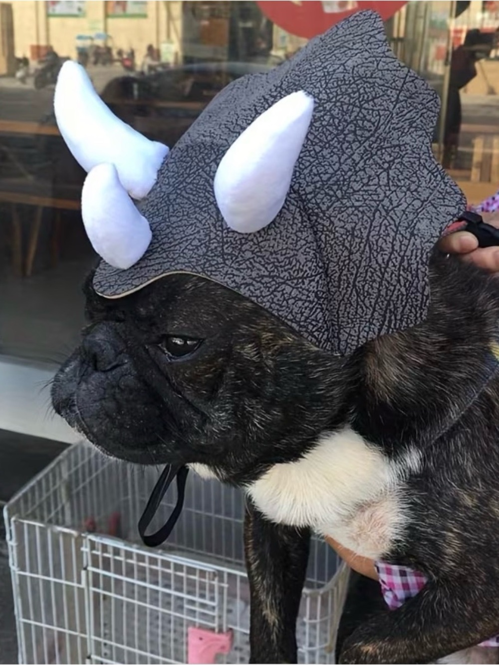 BN small Dog Triceratops Horn Costume Hat - Gray and White
